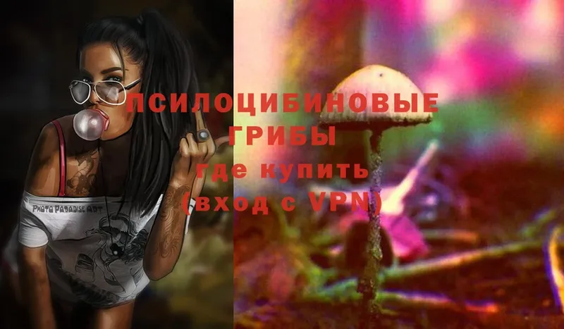 Псилоцибиновые грибы Psilocybe  дарнет шоп  сайты даркнета как зайти  Кизляр 