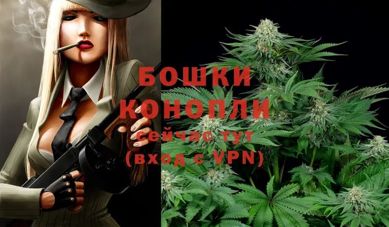 Бошки марихуана SATIVA & INDICA  где можно купить наркотик  Кизляр 